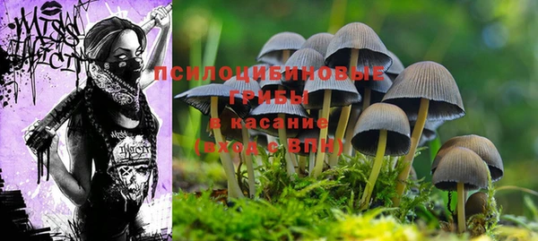 jwh Алексеевка