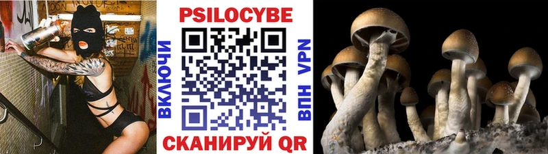 Псилоцибиновые грибы GOLDEN TEACHER  блэк спрут   Новомосковск 